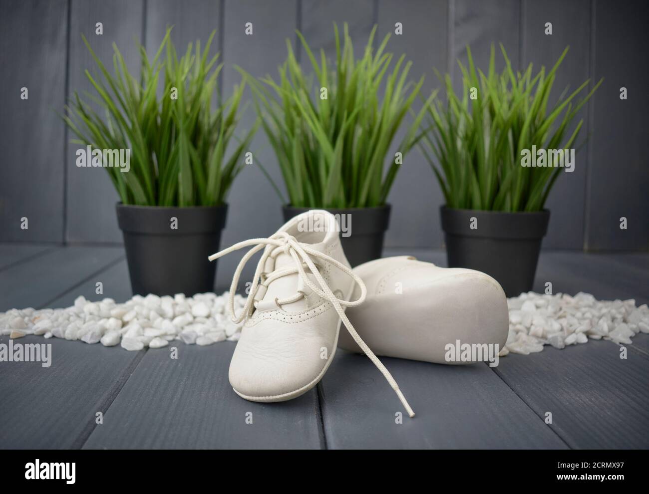 Primer plano de zapatos blancos recién nacidos con cordones, colocados uno encima del otro, sobre fondo de madera gris y tres plantas verdes Foto de stock