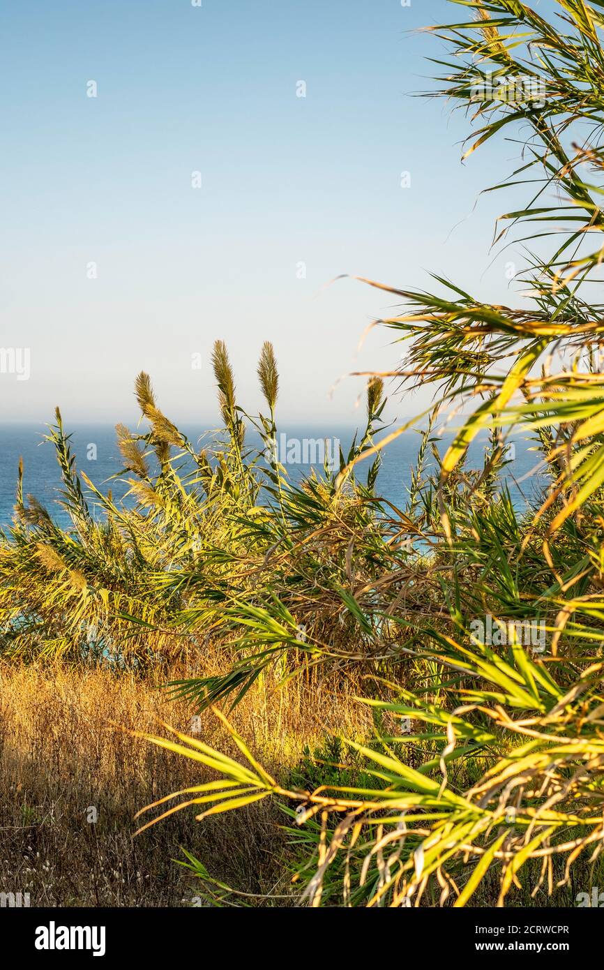 Corfu Agios Stefanos vistas panorámicas al mar Foto de stock