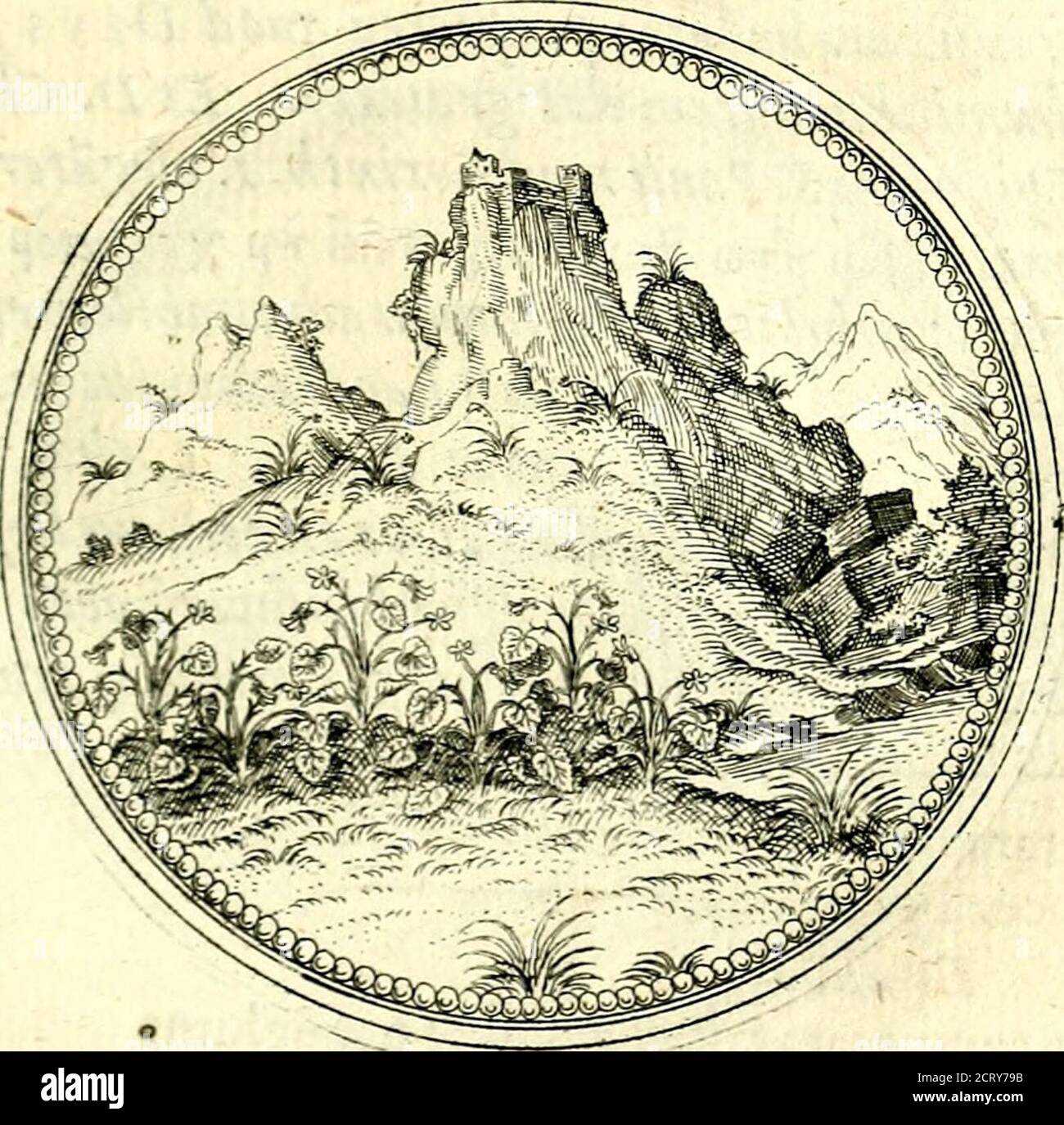 bolsagage weight limit