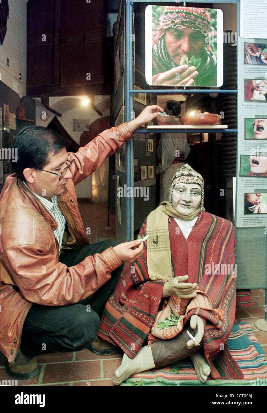 Hoja de coca masticando fotografías e imágenes de alta resolución Alamy