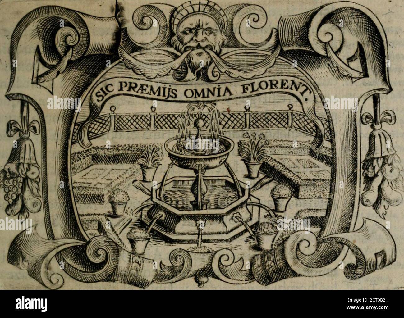 Reipon - Best photos on dibujosparaimprimir.net