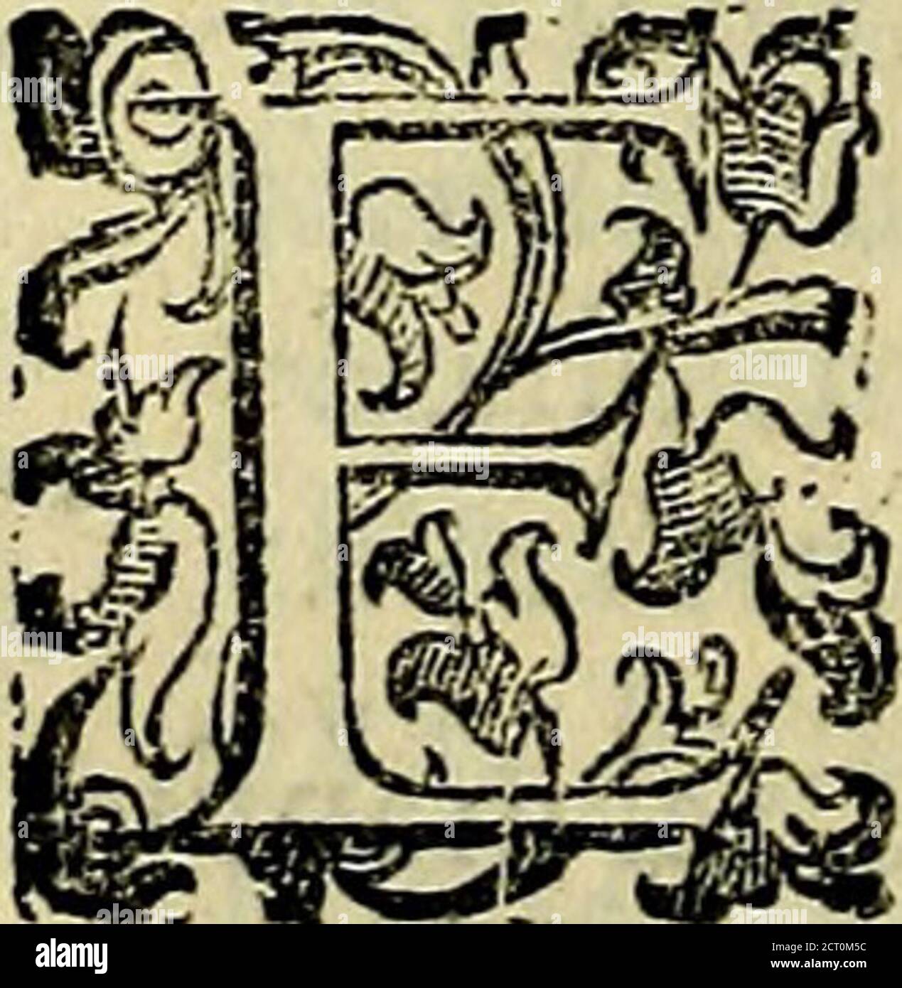 . Teatro d'imprese . BEI. FVC, GIR TVTTA 1 Cielo,eminacciantep.làlua . La mede/jma Imprefi poi;>, ben con. altro icritto, i dodo:nimo nonildeclIr. /Il Vitice pianta detto Agno da Greco, che vuol difecita-fto,fichedaduevilocilvnaeiplicantc, laltra viendettoAgnocafto,percioche il diluì Tene, e le frondi eftinguo-no glindimenti di Venere, e rendadute i-nte,nte houi nte, nte lòlo gioni-nte, nte. Quindi è che appeifo gli Ateniefi le Donneche ofìeruauan o caftirà nel facificare à Cerere,faceuanll i letti delle frodidi efTo; E le Romane nellefequie de mortirecauano Foto de stock