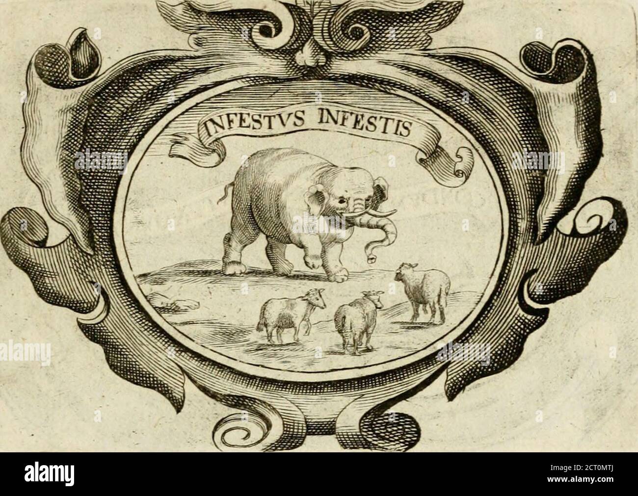 . Siluestri à Petrasancta Sybola heroica . FERDiNANDVs RCX, filius Alphonsi PdmiAragonenfis, M A R i N v M Marcianum SeffeeDucem&RolTaniPrincipium, reum coniurationis,in cultodiam folum dedit j abftinuit vero a nece illius,ne affinareis cruincore: Viusmuris Armenijfimilidudine, qui candidis villis conucftitus, eam pel-lis (ux diuitem iupelledilledilem adeo cordi habet,vt cu-bilis oftiolum limo reffum a venatoribus, num-quam egrcdiatur malitque capi 6c mori, quam e-. Ma- LIBER PRIMVS. 31. EMANVEL Philieertvs Sabaudix Dux , fi-mulacro elephanti, qui ouiculas;, iie forte ob-uias Foto de stock