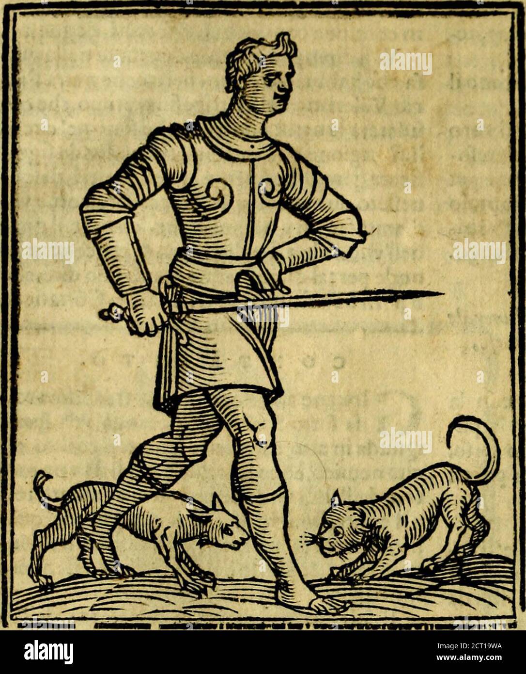 . iconologia . mp;; prefto à difendetfi, cfFendeteil nemico. Il color roto ci dimoftra lalterezza della*nimo, & il dominio delle pa(Iìoni,chc flannoin moto,& muouono il fangue . Si fa in mezzo dvn cane, & dVna gatta,perche da difTimili,e contrarie Nature prende'efio loriine. Contrajìo. Glouanettojche foto allarmatura habbiavna vefte di color tolTcnella deftra m no tenga vn pugnale ignudo con fiero fguar-do,con vnaltro pugnale nella finiftra» tiran-dola mano in dietro,in atto ài voler ferire*, e N o T I o é. DOnnà dafpetto gratiofo,oc bello.ftia itipiedi col pugno dtlla mano dritta Foto de stock