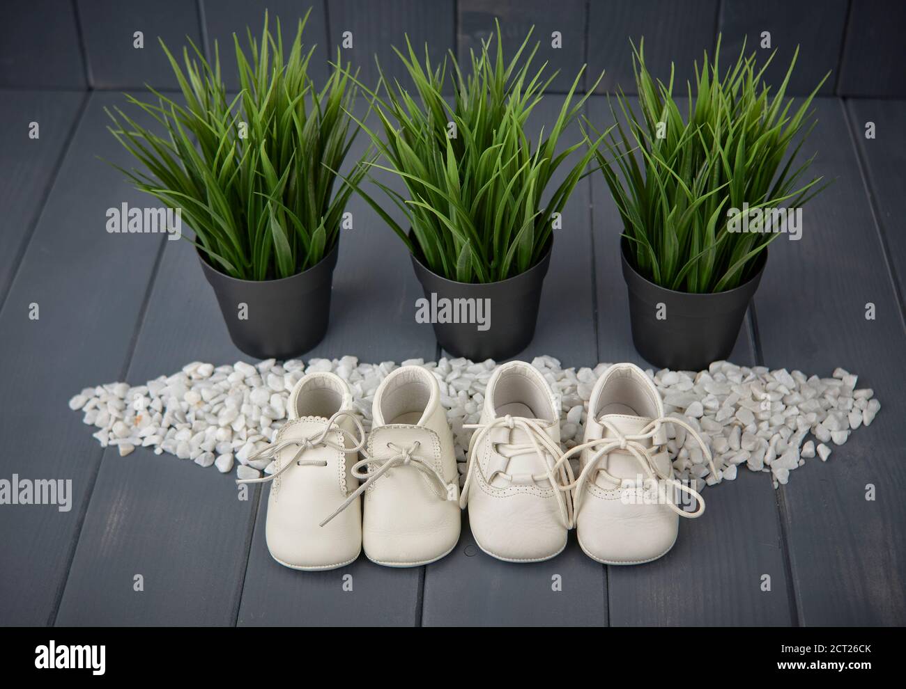 Zapatos blancos de bebé recién nacido, con cordones haciendo un arco, sobre una cama de piedras blancas y plantas verdes sobre un fondo de madera gris Foto de stock