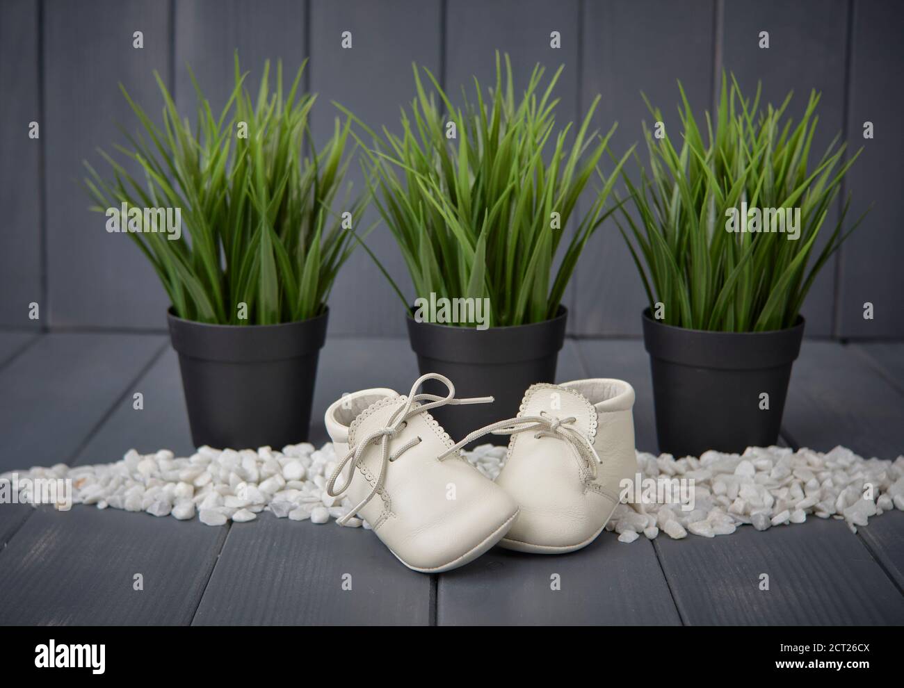 Zapatos blancos de bebé recién nacido, con cordones haciendo un arco, sobre una cama de piedras blancas y plantas verdes sobre un fondo de madera gris Foto de stock