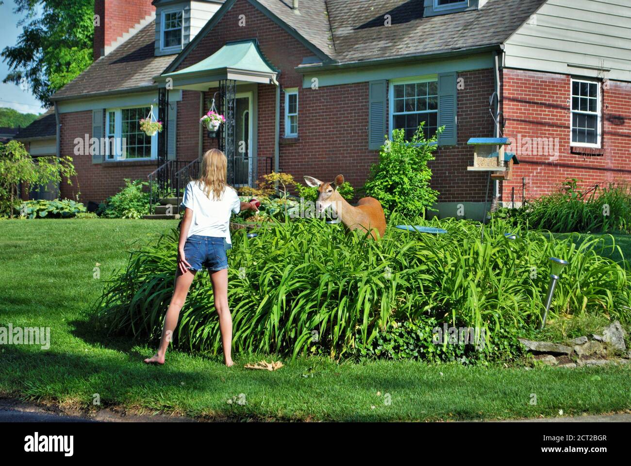 Niña con un ciervo que camina por una residencia barrio Foto de stock