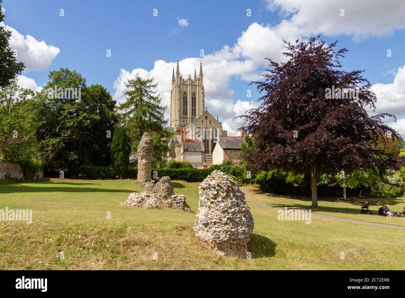 Catedral de St Edmundsbury vista desde Abbey Gardens, Bury St Edmunds, Suffolk, Reino Unido. Foto de stock