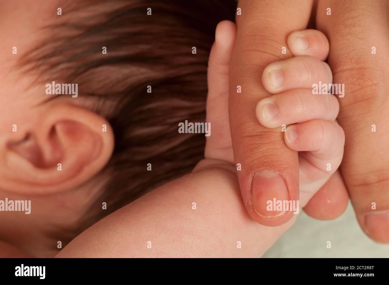 1 mes recién nacido niña primer plano de agarre apretado en el dedo de la madre Foto de stock