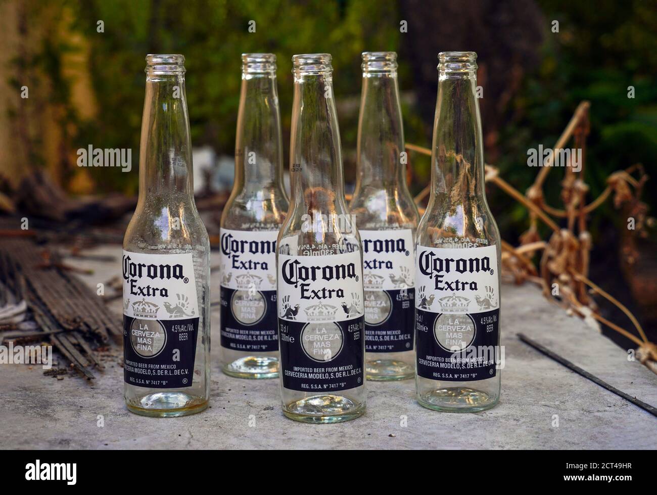 Botellas de cerveza Corona vacías Fotografía de stock - Alamy