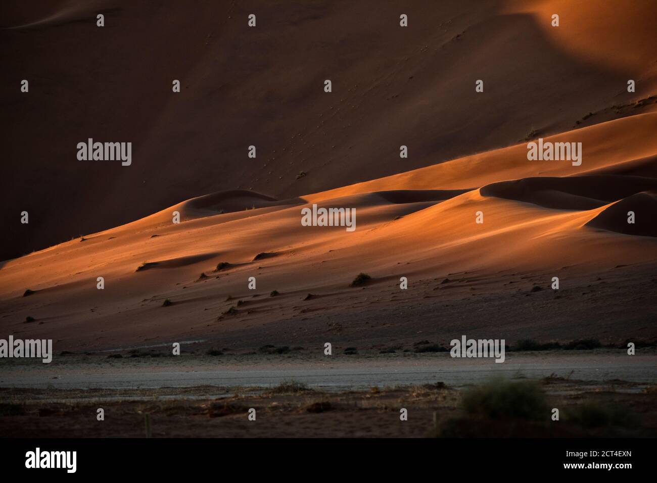 Resumen contrastado de las dunas de arena roja ricas en óxido en el gran mar de arena de Namibia. Foto de stock