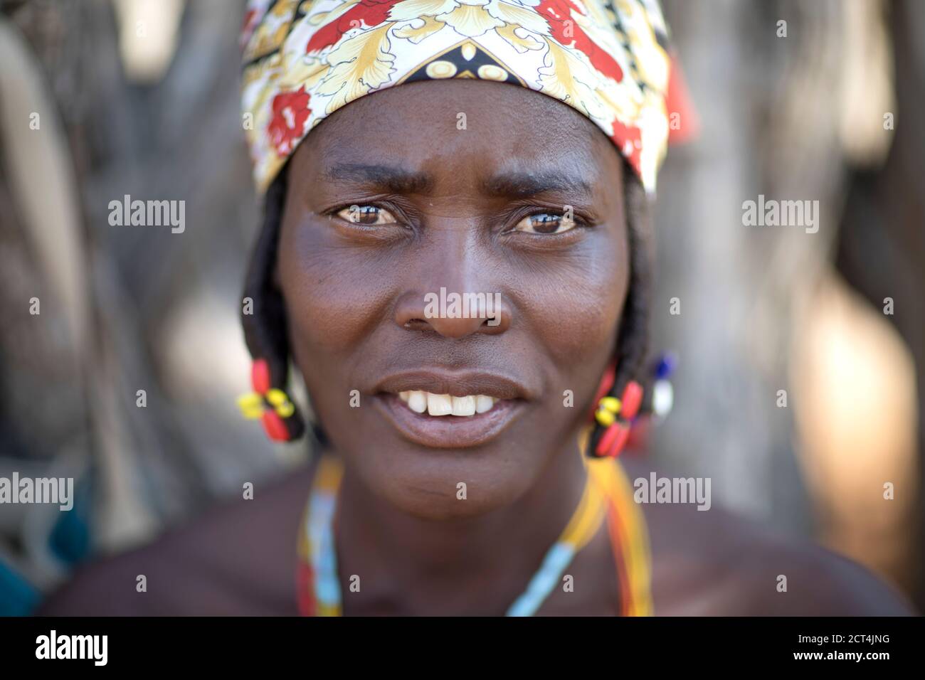 Una mujer zemba en Okangwati, región de Kunene, Namibia. Foto de stock