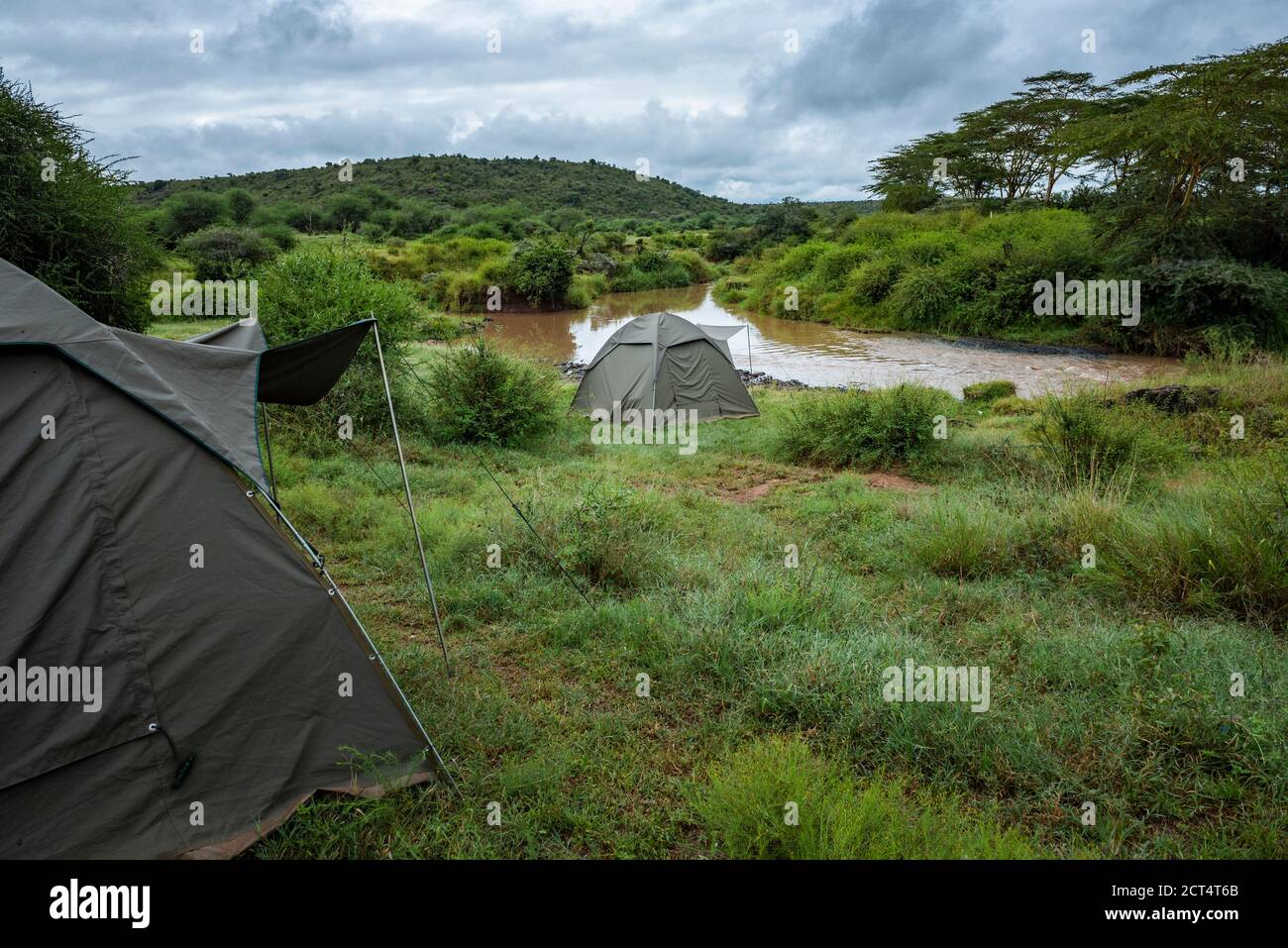 Safari en camello en Sosian Ranch, condado de Laikipia, Kenia Foto de stock