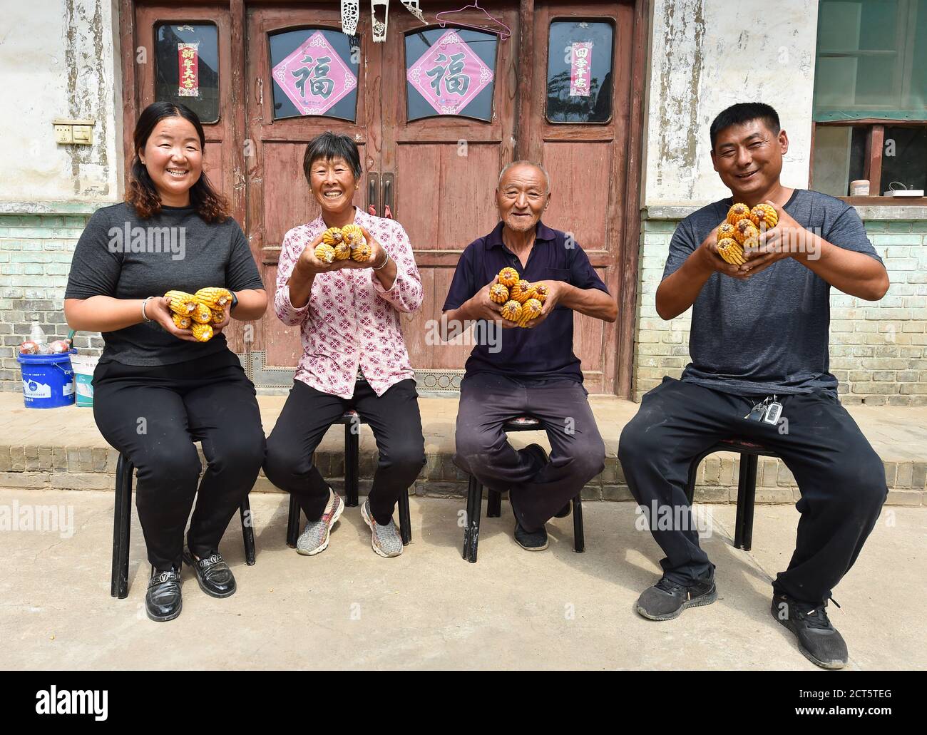 (200921) -- TAIYUAN, 21 de septiembre de 2020 (Xinhua) -- Li Ting y su familia muestran corninos cosechados en la aldea Taizhao de la ciudad de Nanzhang en Yuncheng, provincia de Shanxi, al norte de China, 20 de septiembre de 2020. Li Ting, un cultivador en la aldea de Taizhao, tiene campos de trigo, maíz y hierbas medicinales chinas, con una superficie total de más de 240 mu (16 hectáreas). En la memoria de Li, la agricultura era laboriosa ya que requiere un gran trabajo de trabajo, y la gente tenía que depender principalmente de herramientas hechas por el hombre como arados y jarras de madera. El padre de Li solía trabajar en una cooperativa de maquinaria agrícola, y Li Ting fue testigo de la conveniencia que trajo un Foto de stock