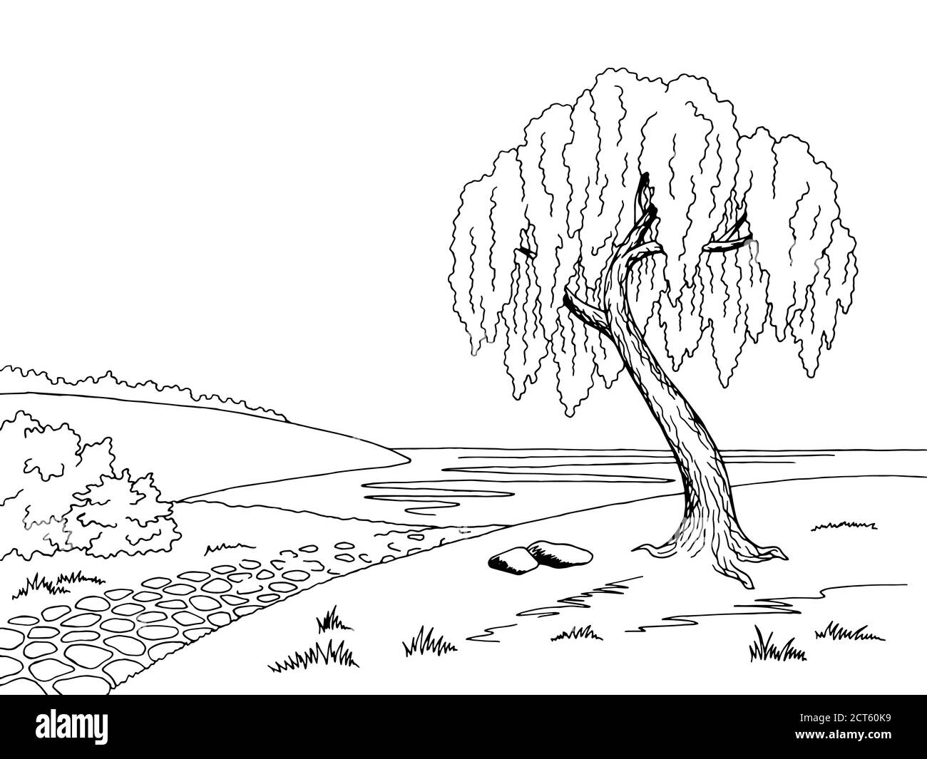 Viejo camino sauce árbol gráfico arte negro blanco paisaje esbozo vector de ilustración Ilustración del Vector