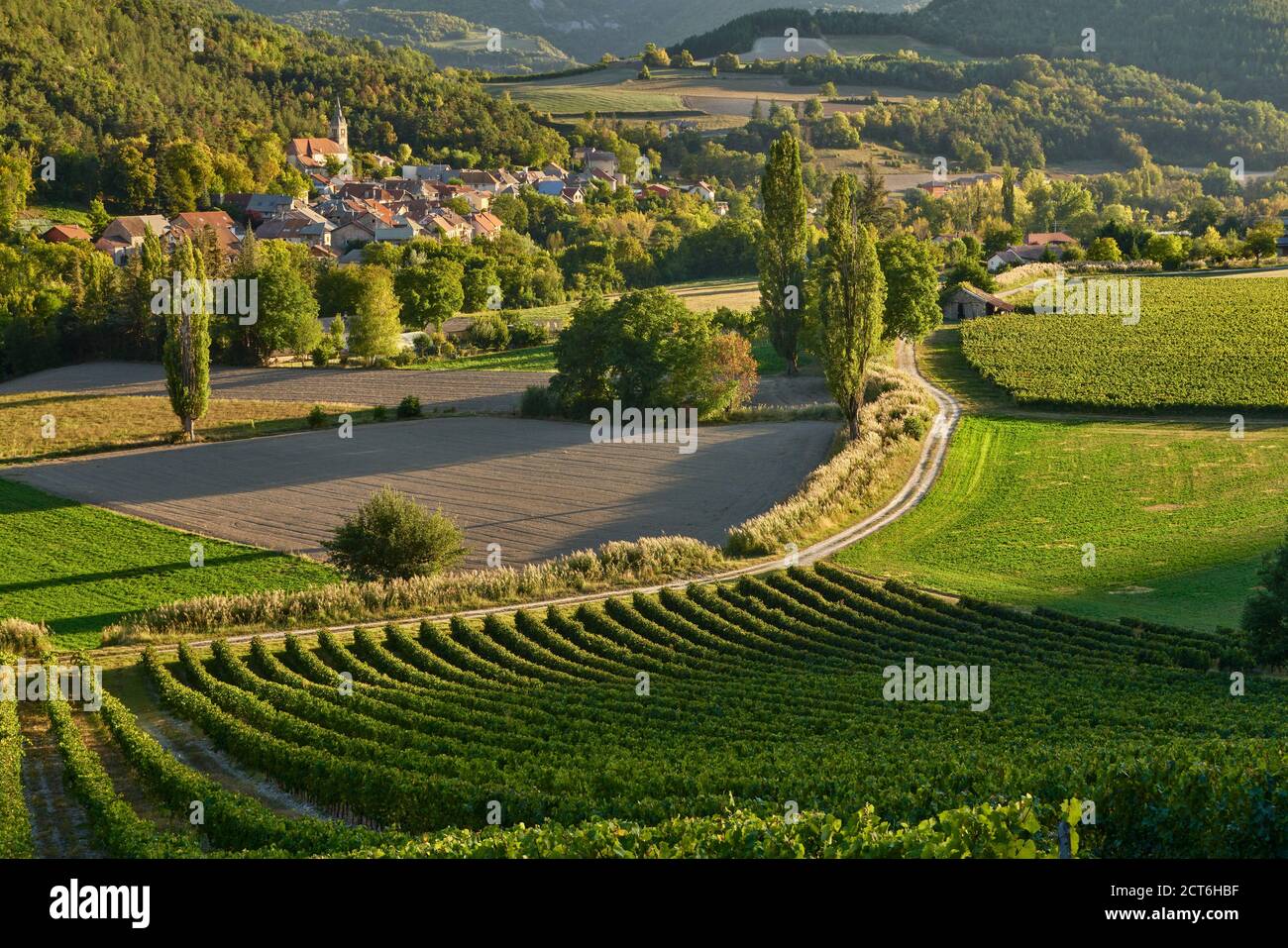 Viñedos y el pueblo de Valserres en otoño. Bodega y viñedos en los Altos Alpes (05), Avance Valley, Alpes, Francia Foto de stock