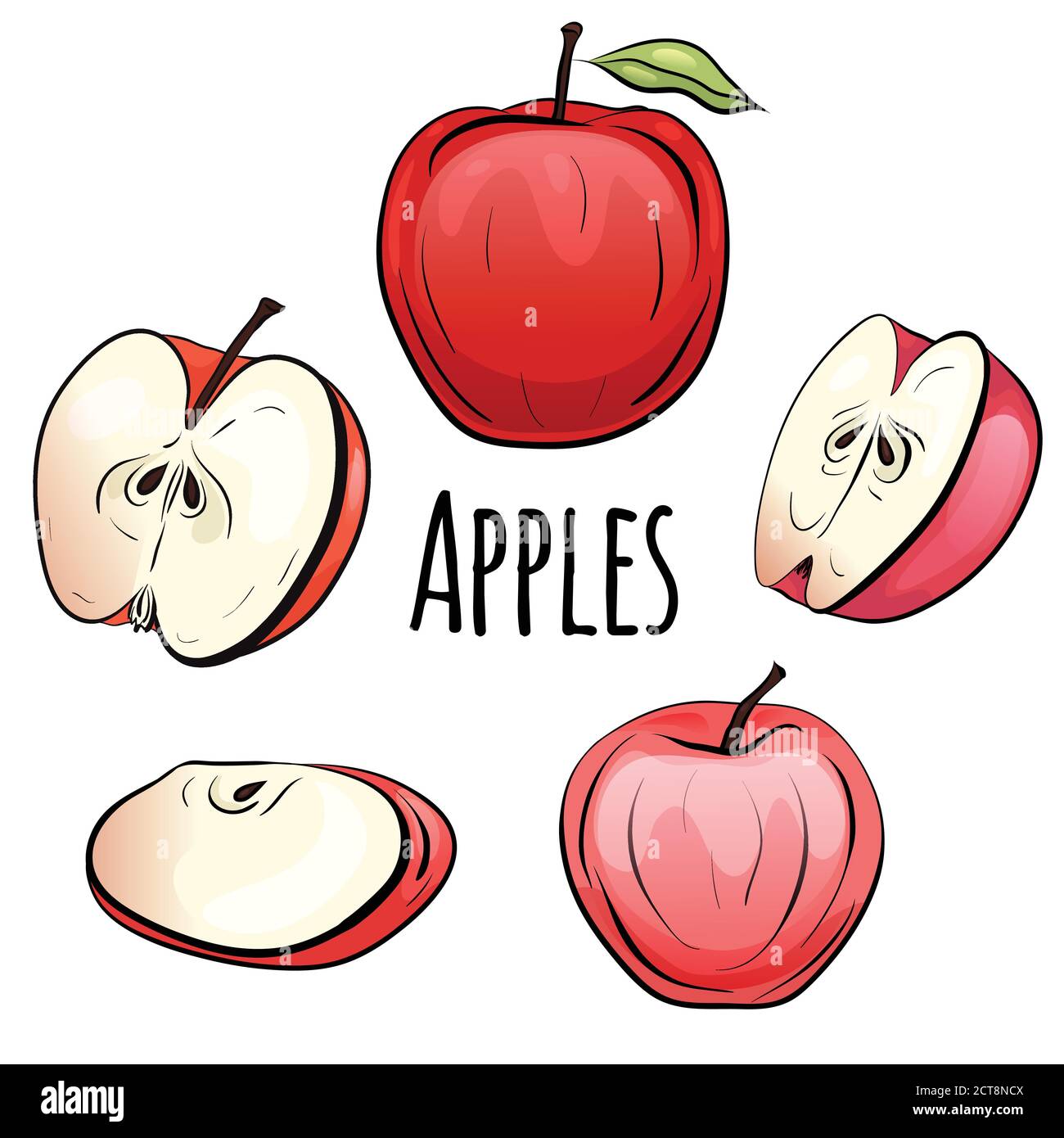 Conjunto de dibujos animados manzanas rojas de diferentes formas sobre un  fondo blanco. Los objetos se separan del fondo. Elemento vectorial para  diseño de menús, recetas, ch Imagen Vector de stock -