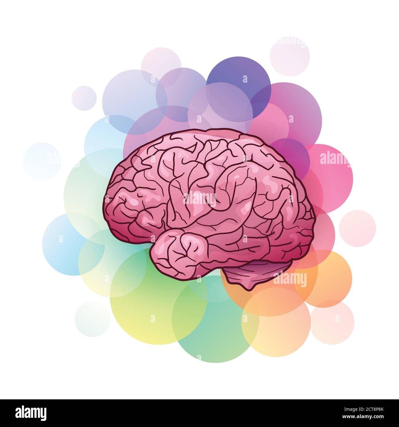 Ilustración de dibujos animados del cerebro humano con luces y sombras con  círculos coloridos. Vista lateral. Creatividad e inspiración. El objeto  está separado f Imagen Vector de stock - Alamy