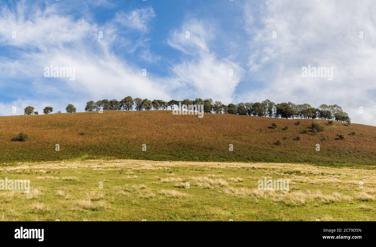 Panorama de múltiples imágenes de una colina arbolada en los páramos de Yorkshire del Norte bajo un cielo azul. Foto de stock