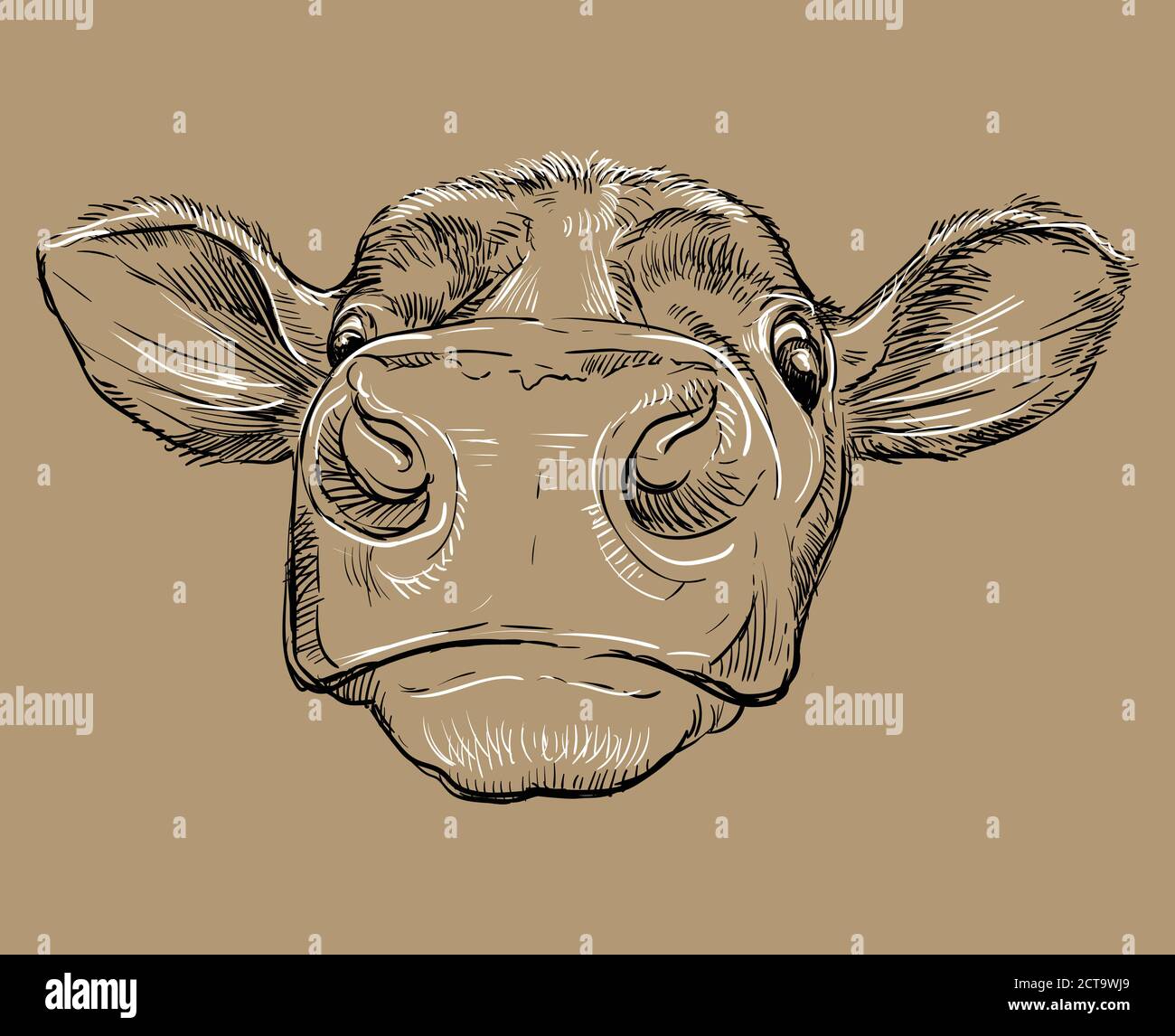 Dibujo de toro fotografías e imágenes de alta resolución - Alamy