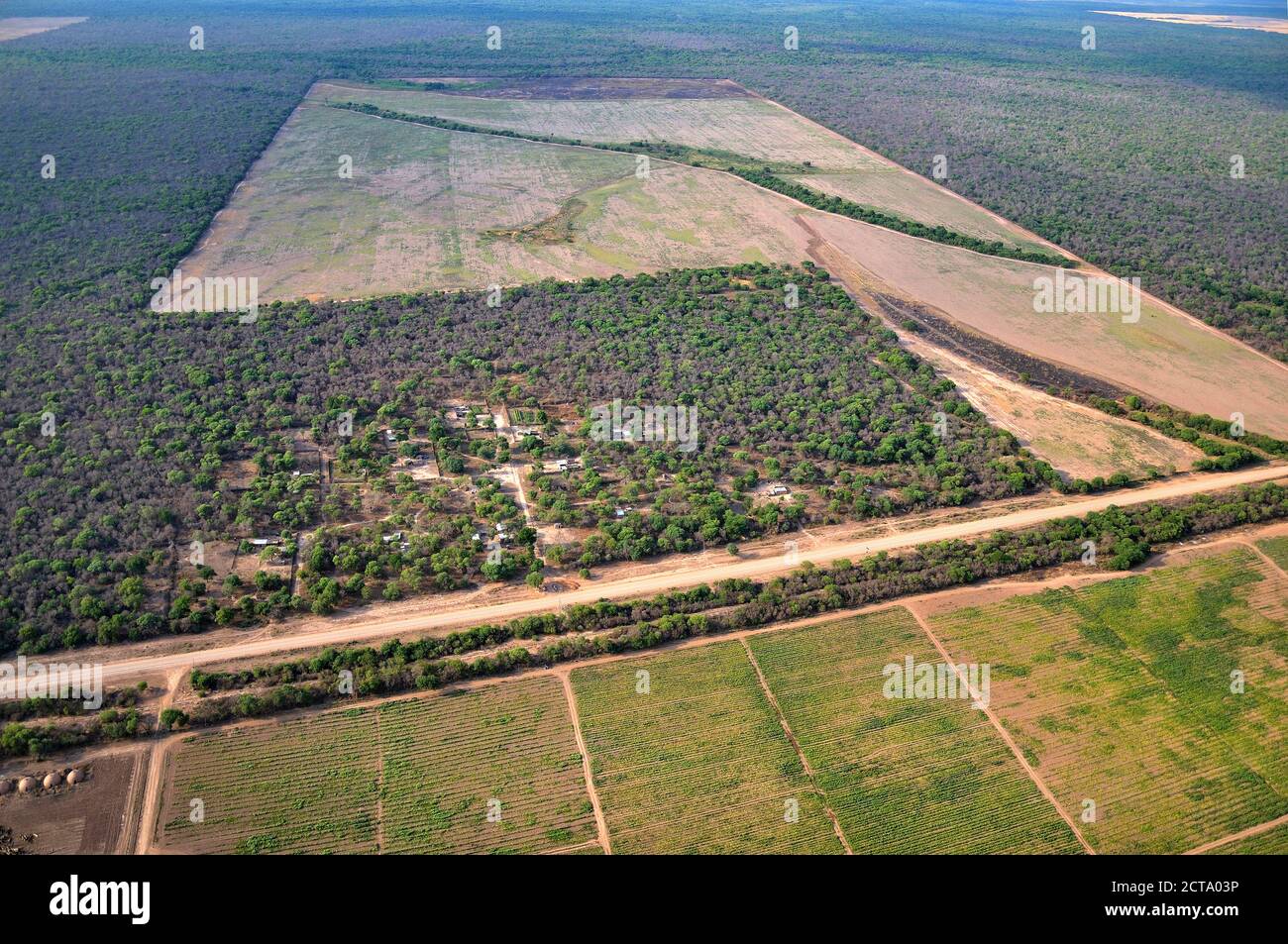 Argentina, el Gran Chaco, Salta, aldea del pueblo wichi en peligro de  acaparamiento de tierras, vista aérea Fotografía de stock - Alamy