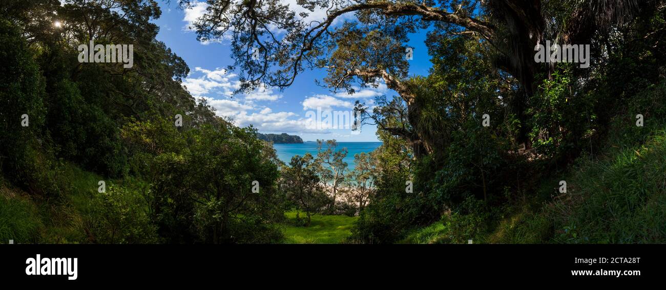 Nueva Zelanda, Isla Norte, Waikato, península Coromandel, vistas a la playa de agua caliente Foto de stock