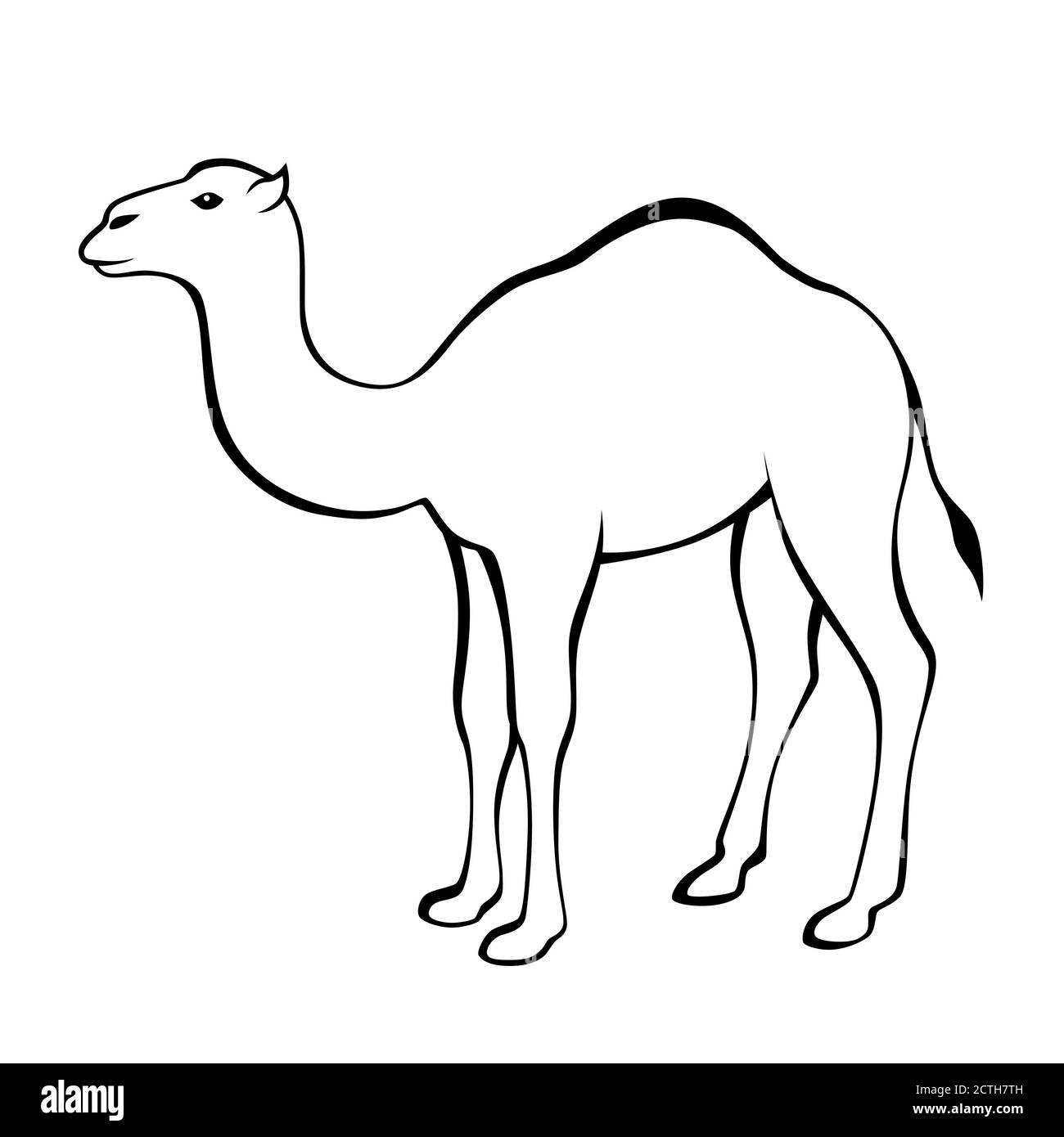 Camel blanco negro vector de ilustración aislado Ilustración del Vector