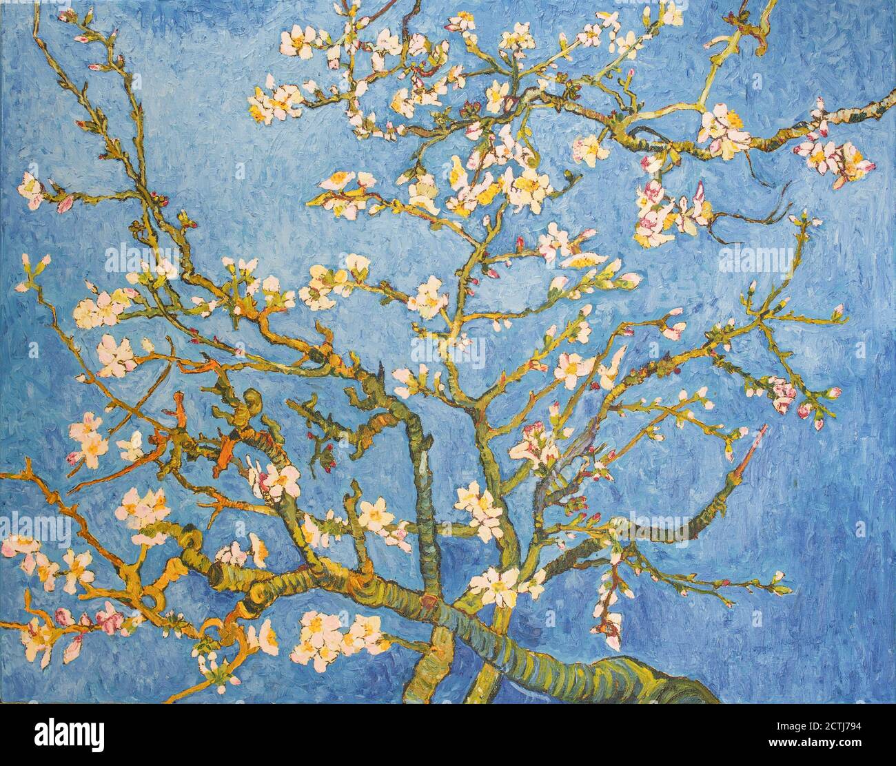 Árbol de almendra en flor. Hermosa pintura al óleo sobre lienzo. Basado en  la gran pintura de Van Gogh, 1890. Trazos de pincel y texturas de lienzo  Fotografía de stock - Alamy