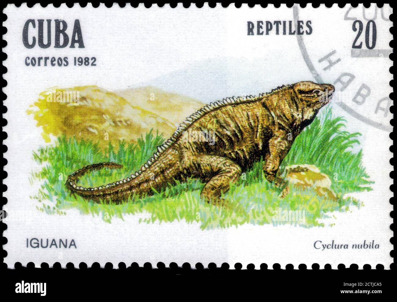 San Petersburgo, Rusia - 18 de septiembre de 2020: Sello impreso en la Cuba la imagen de la Iguana Roca Cubana, Cyclura nubila, alrededor de 1982 Foto de stock