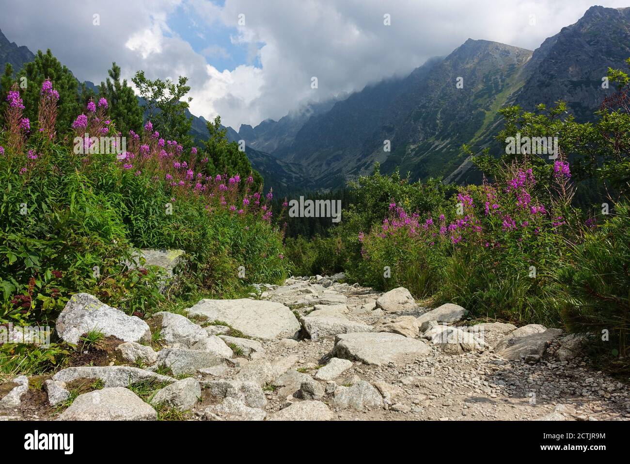 Papel tapiz de Tatras altos, papel tapiz de los lugares más hermosos, camino al Lago Poprad, Tatras altos, Eslovaquia Foto de stock