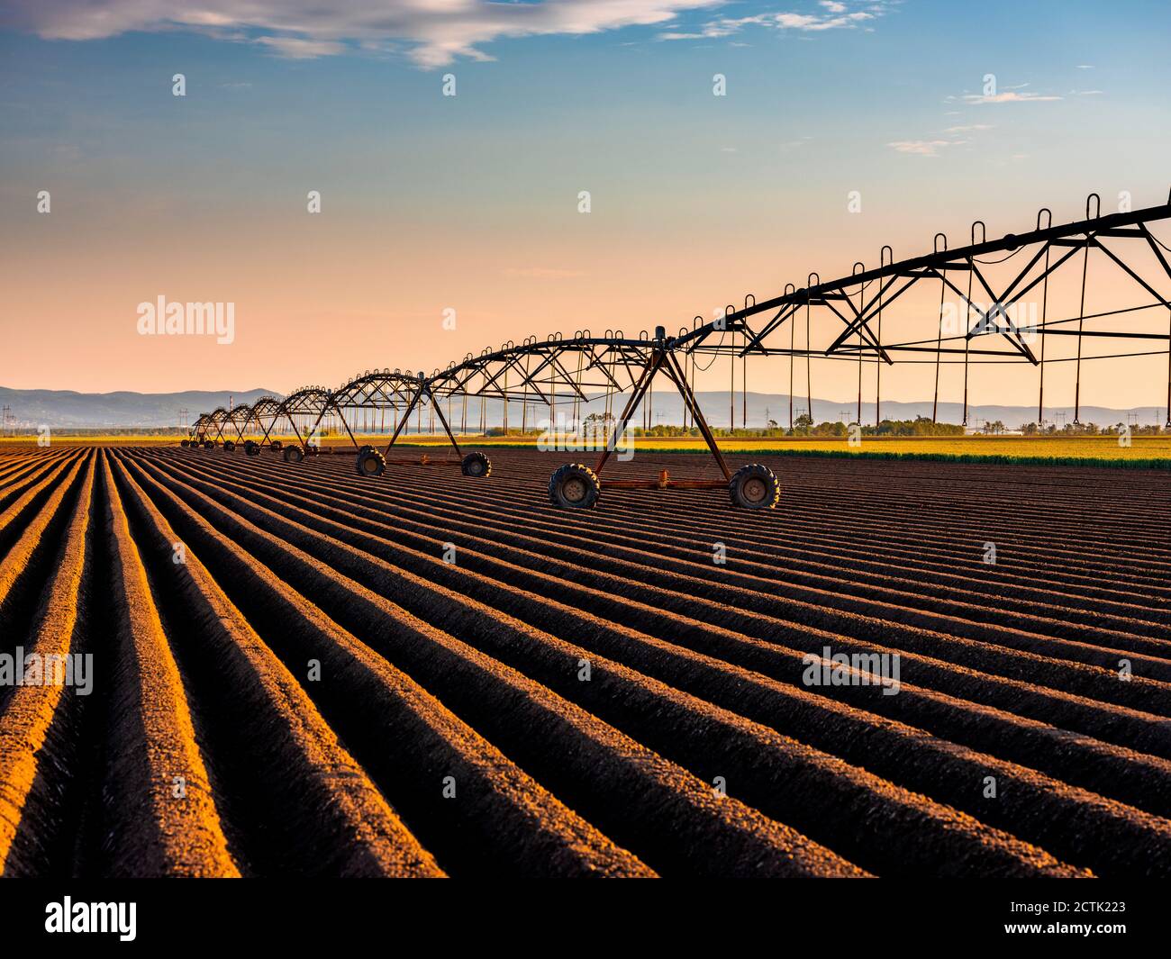 Sistema de riego en campo agrícola durante la puesta de sol Foto de stock