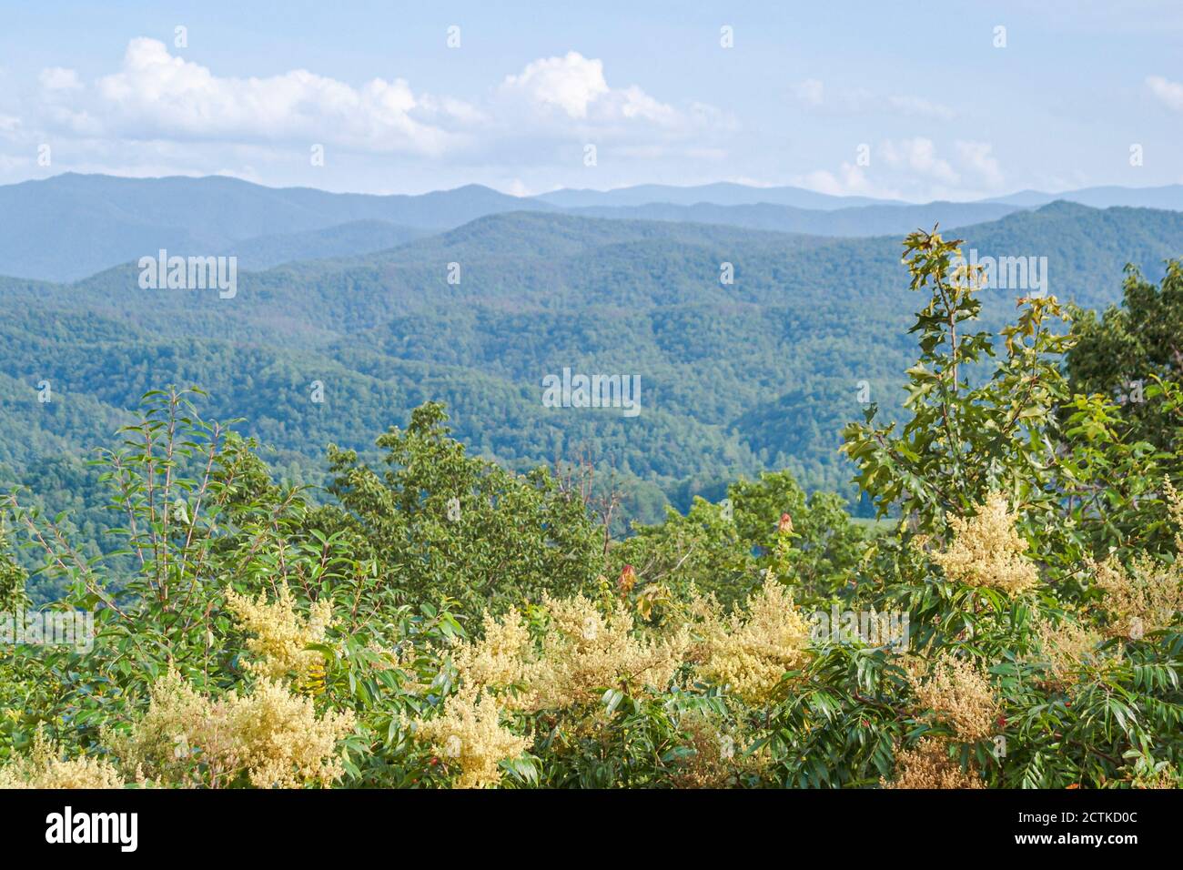 Tennessee Great Smoky Mountains National Park Southern Appalachian, naturaleza escénica crestas paisaje, Foto de stock