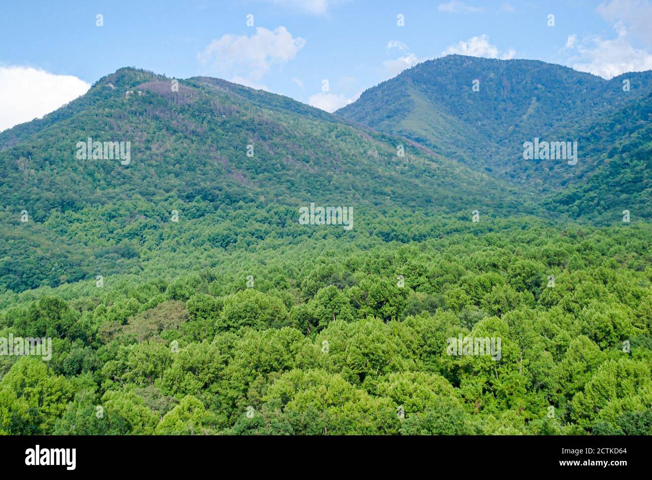 Tennessee Great Smoky Mountains National Park, naturaleza paisaje natural montaña árboles pico, Foto de stock