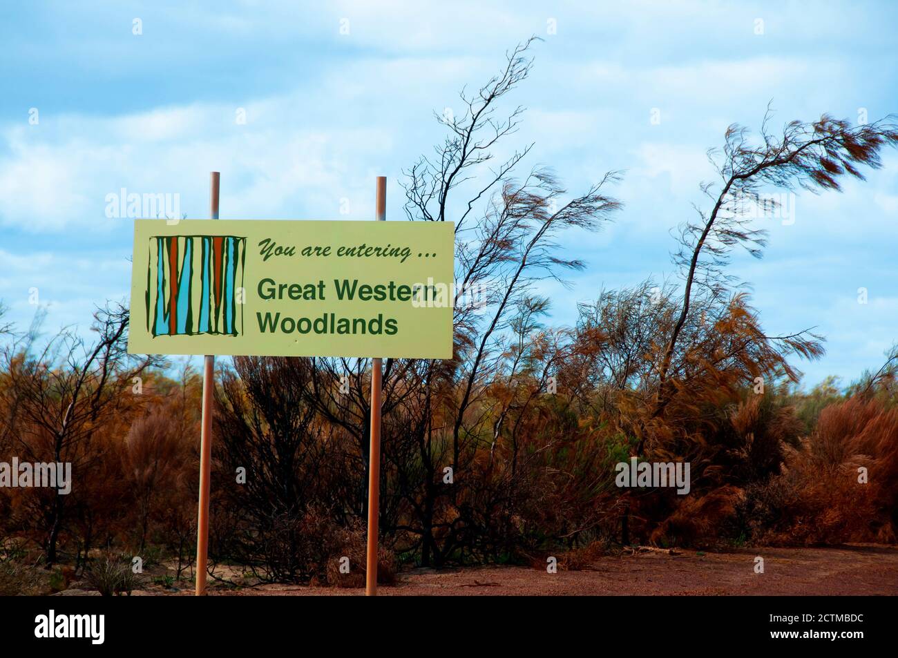 Great Western Woodlands - Australia Foto de stock