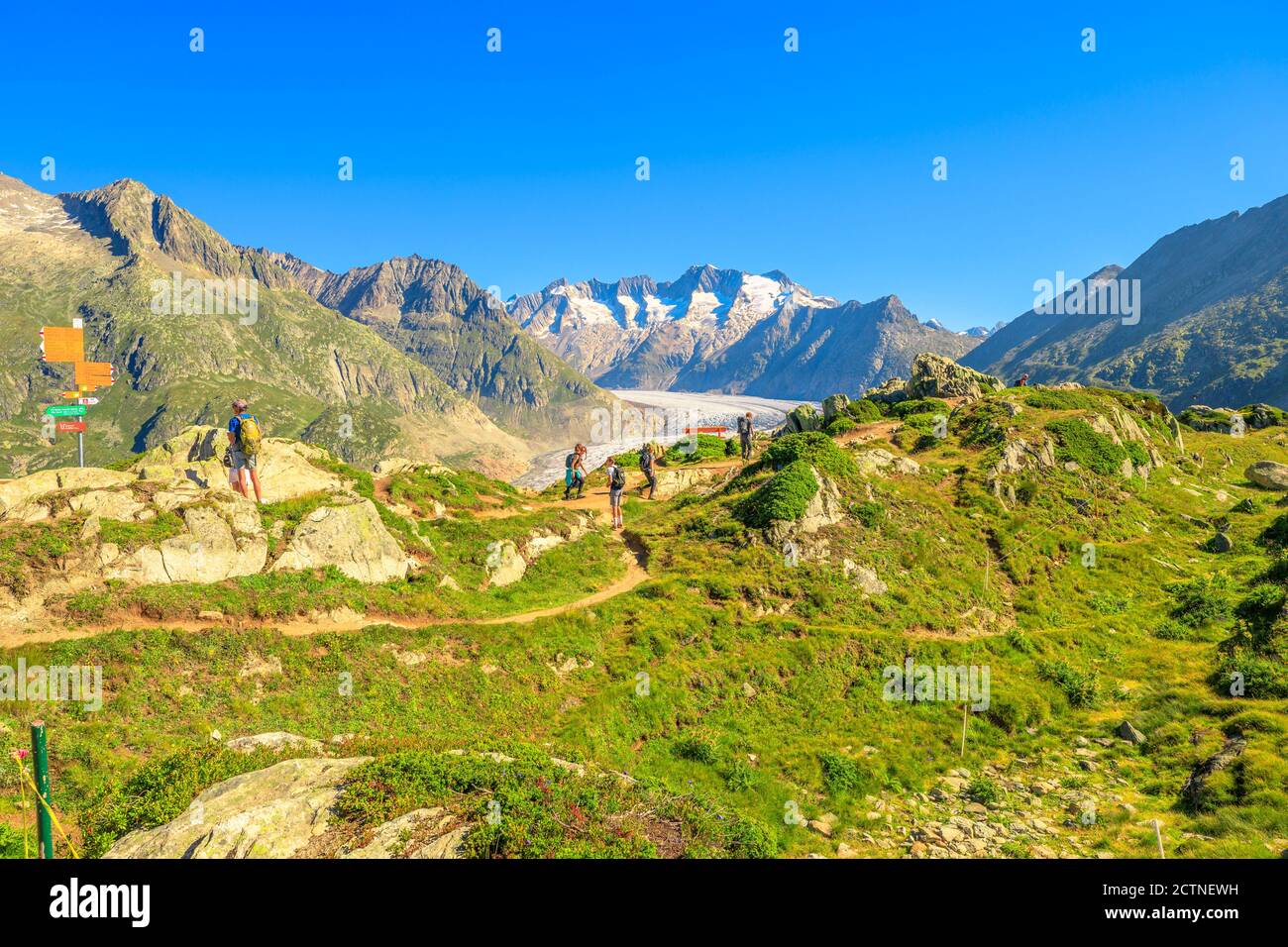 Eggishorn, Suiza - 7 de agosto de 2020: Turistas trekking en los Alpes suizos, mirando el glaciar alpino, glaciar Aletsch desde el punto de vista de Moosfluh en Foto de stock