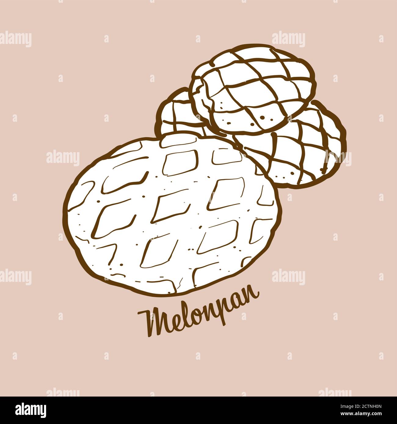 Ilustración del pan de Melonpan dibujado a mano. Dulce bollo, Crispy