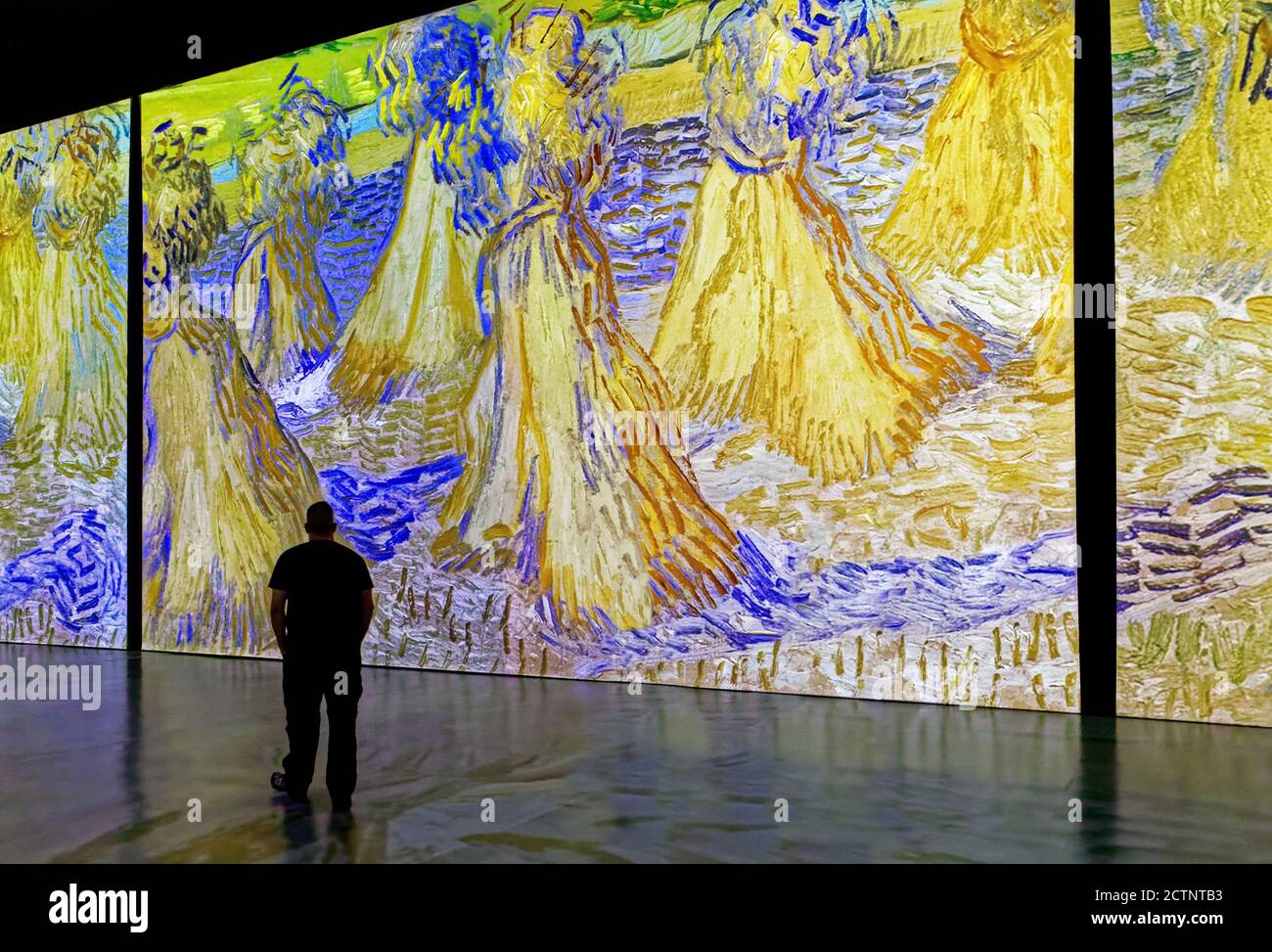 Gente en la exposición inmersiva Imagine Van Gogh en la ciudad de Quebec, Canadá Foto de stock