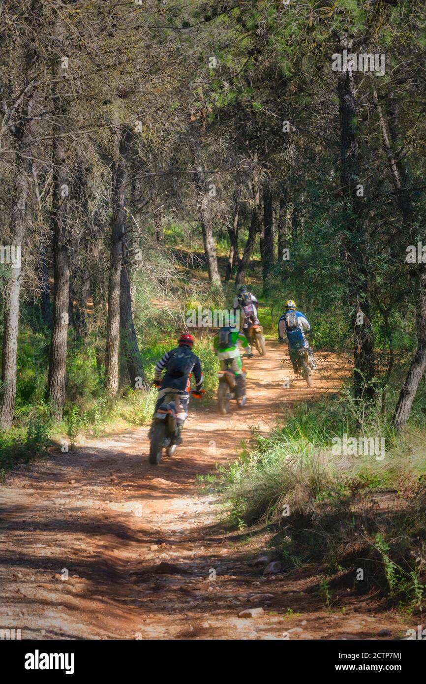 Excursión en moto por el bosque. Ecoturismo, Andalucía, España. Foto de stock