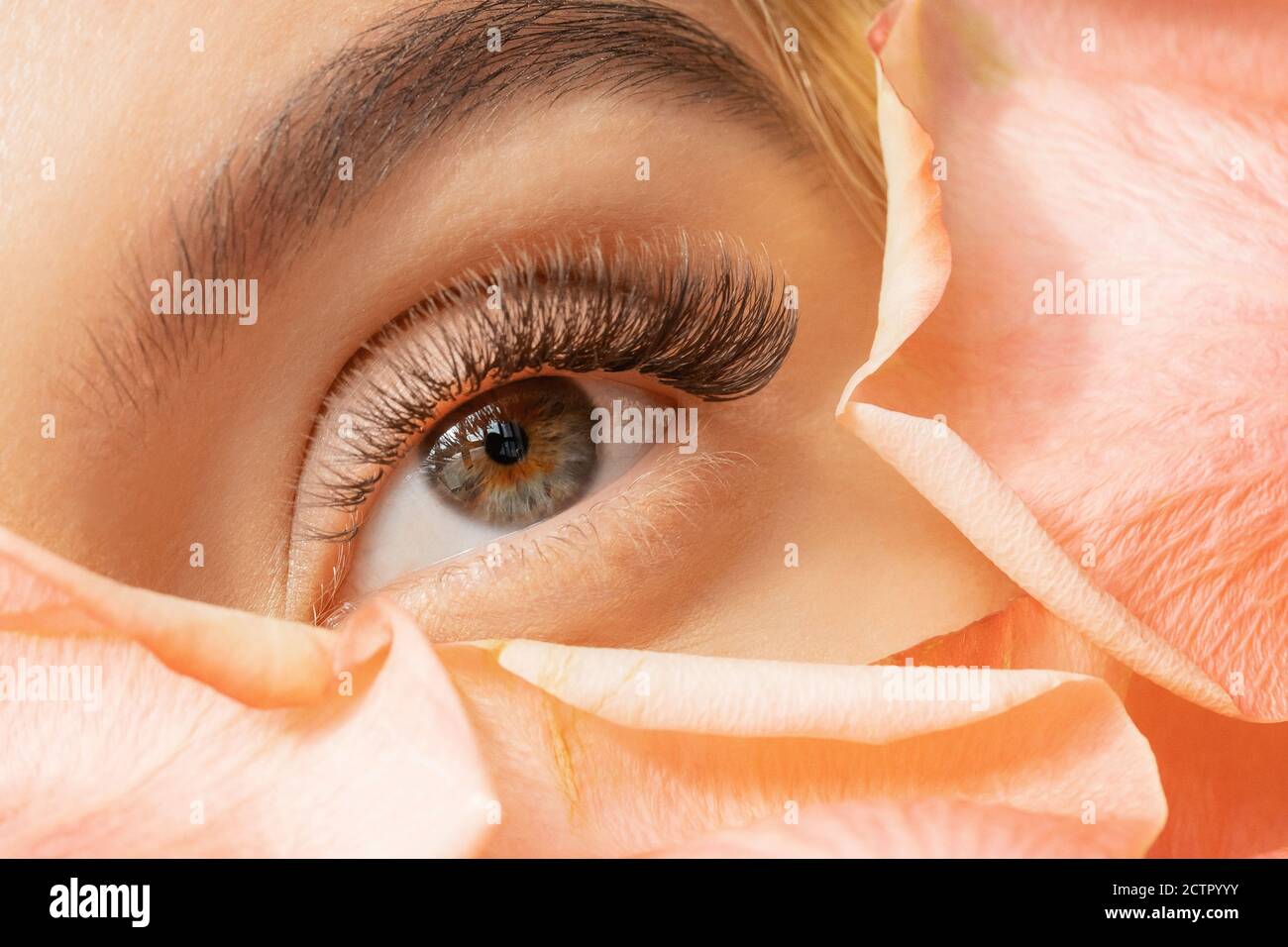 Primer plano de la mujer ojos verdes extensión de las pestañas en los  pétalos de flores. Ternura procedimiento de belleza moda Fotografía de  stock - Alamy