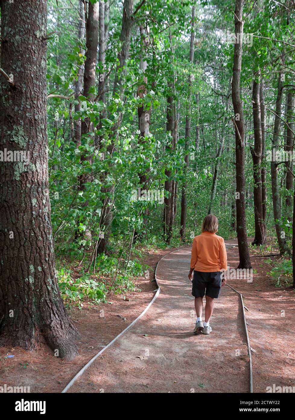 Mujer caminando por el sendero natural en el Refugio Nacional de vida Silvestre Rachel Carson en Wells, Maine. Foto de stock