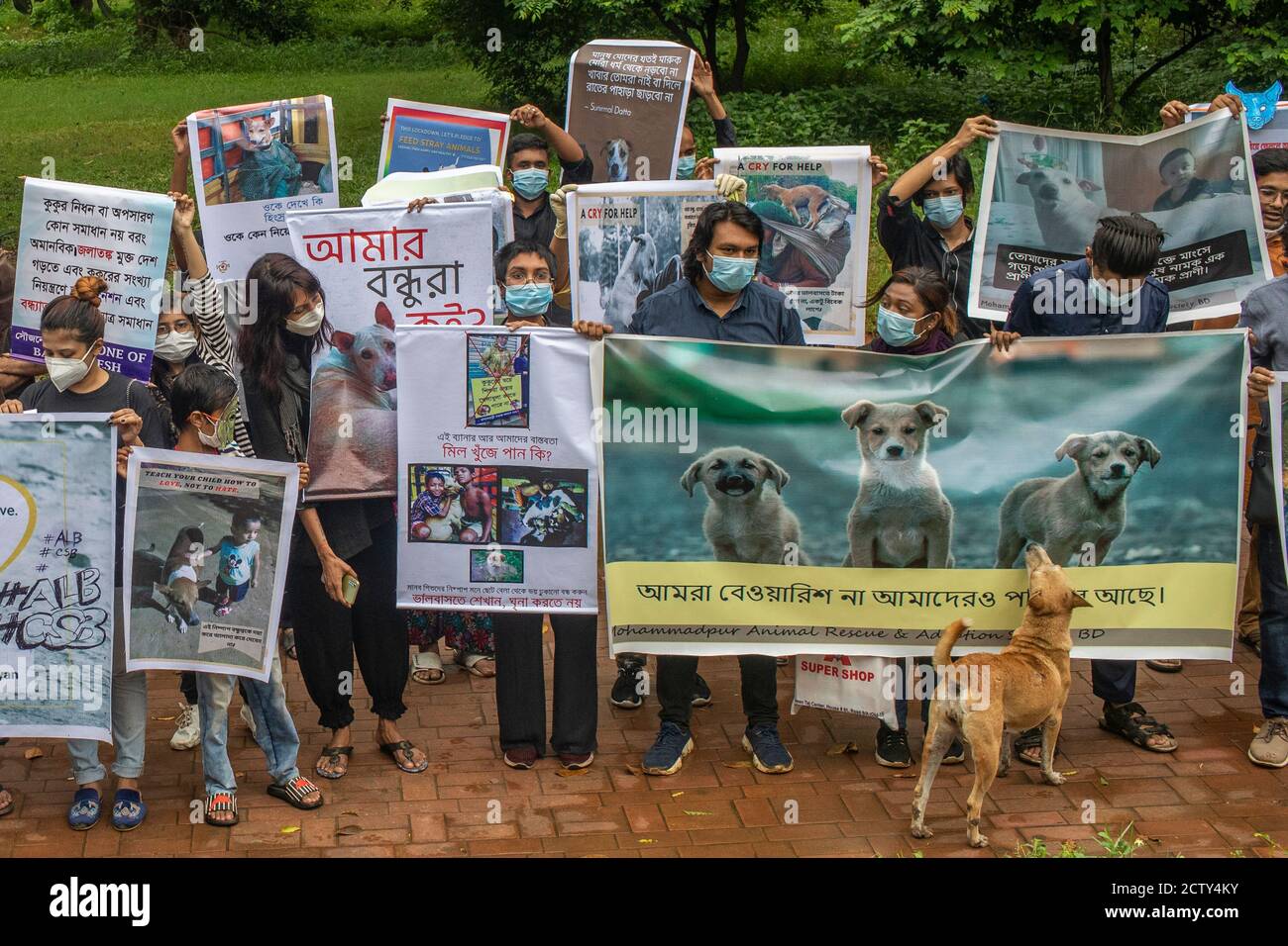 Los manifestantes sostenían pancartas y pancartas durante la  manifestación.los amantes de los animales, con pancartas, festoons,  pancartas y carteles, exigen que se detenga inmediatamente la reubicación  ilegal de perros callejeros de Dhaka