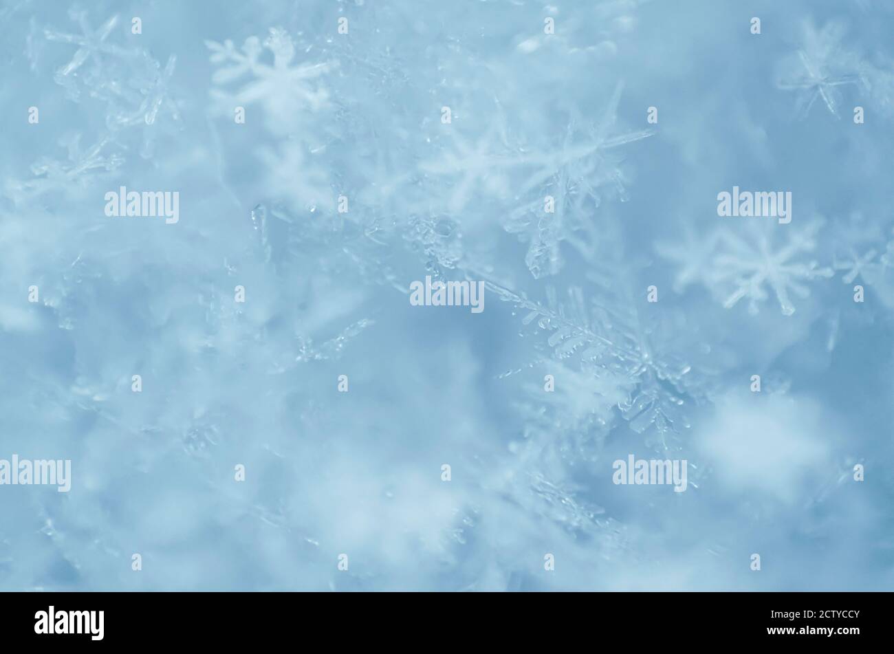 Fotografía macro desfocada de copos de nieve como un fondo natural de invierno en azul claro. Profundidad de campo reducida, primer plano. Foto de stock