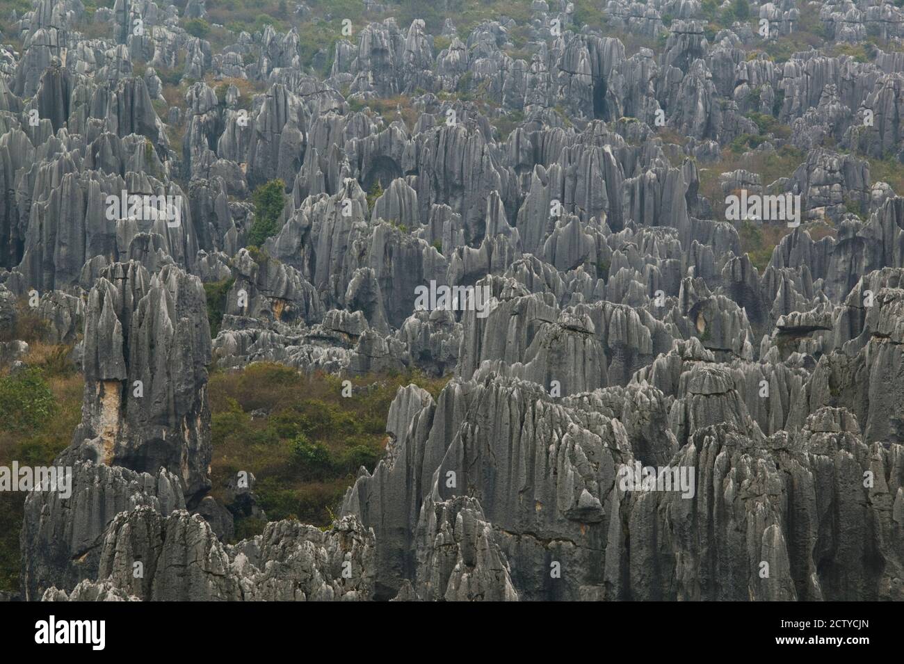 Formaciones de piedra caliza, el Bosque de Piedra, Shilin, Kunming, Provincia de Yunnan, China Foto de stock
