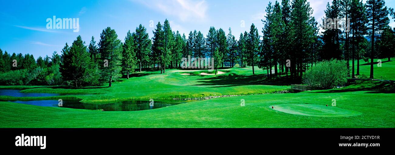 Campo de golf, campo de golf Edgewood Tahoe, Stateline, Douglas County, Nevada, Estados Unidos Foto de stock