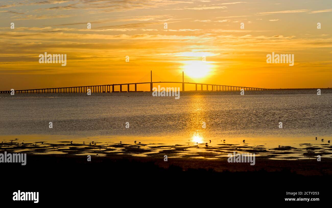 Amanecer sobre el puente Sunshine Skyway, Tampa Bay, Florida, Estados Unidos Foto de stock