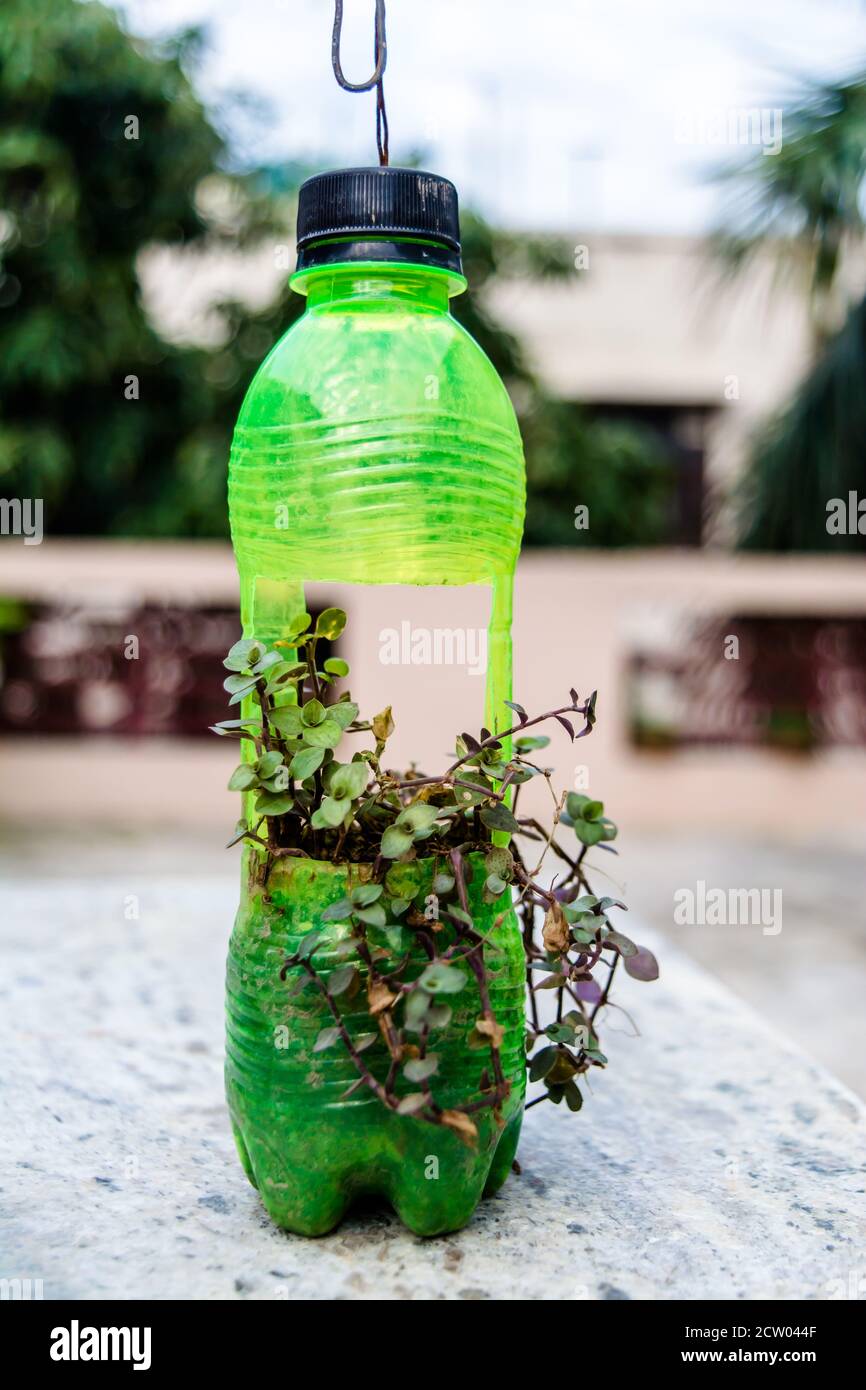 maceta de flores colgando de botella de plástico, con un poco de phulwari  en él, aislado, espacio de copia. Un jardín colgante Fotografía de stock -  Alamy