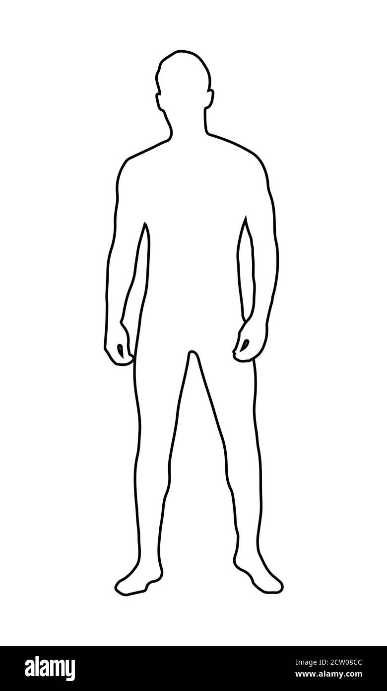 Body Outline Contorno Del Cuerpo Humano Silueta Del Cuerpo Humano