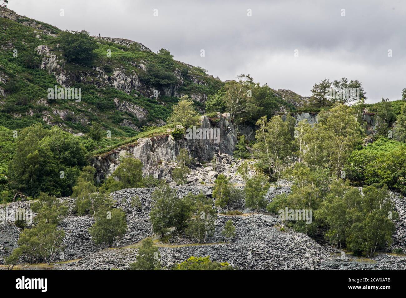 Botín de pizarra en una ladera cerca de la cima del Taiberthwaite Vally en el Parque Nacional del Distrito de los Lagos, Cumbria, en verano. Foto de stock