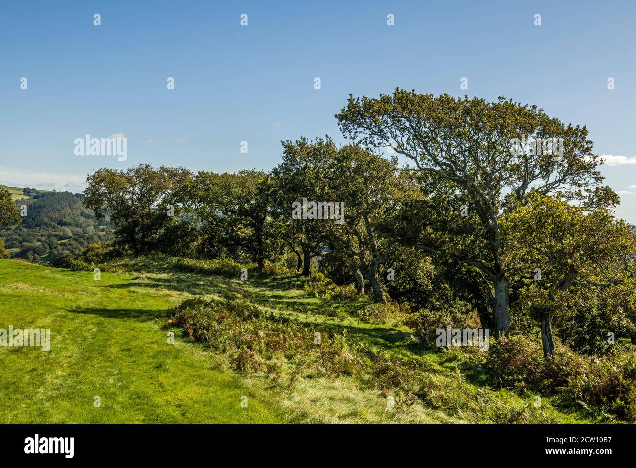 Escenas rurales cerca de la colina de Caerau, por encima de Rhiwsaeson, cerca de Llantrisant, al sur de Gales en un soleado día de septiembre, al sur de Gales Foto de stock