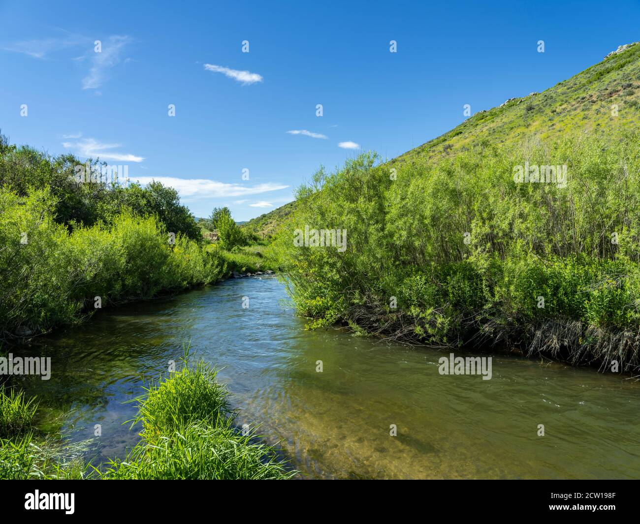 Pequeño arroyo de montaña, Park City, Utah, EE.UU Foto de stock